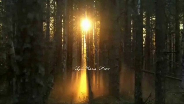 Shrine of the times...(Harry Gregson-Williams)